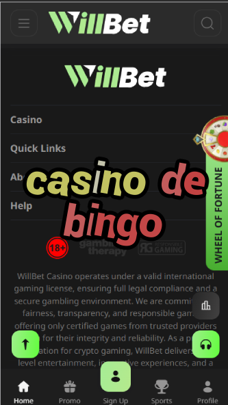 Casino de Bingo - Best Bingo Halls Worldwide-casinoorder.vip